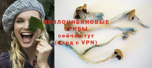 кристаллы Абаза