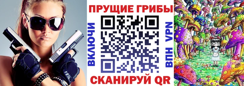 Псилоцибиновые грибы мицелий  где продают наркотики  blacksprut ССЫЛКА  Адыгейск 